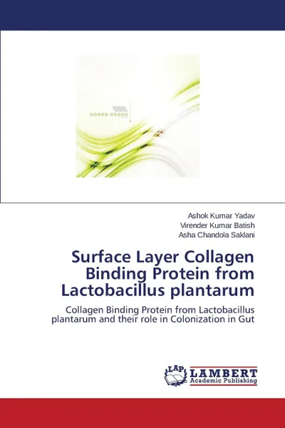 Обложка книги Surface Layer Collagen Binding Protein from Lactobacillus Plantarum, Yadav Ashok Kumar, Kumar Batish Virender, Saklani Asha Chandola