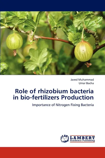 Обложка книги Role of rhizobium bacteria in bio-fertilizers Production, Muhammad Javed, Bacha Umar