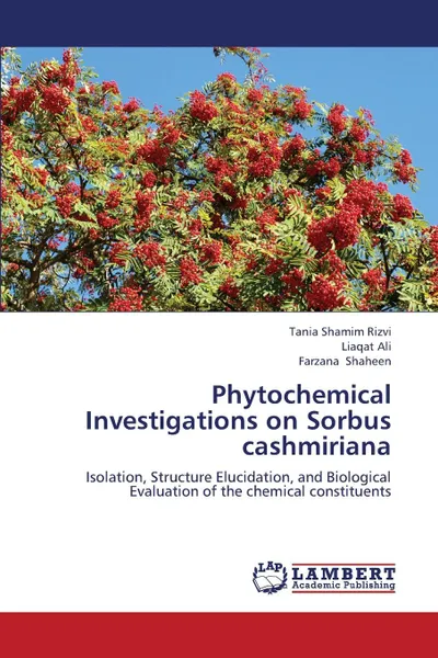 Обложка книги Phytochemical Investigations on Sorbus Cashmiriana, Rizvi Tania Shamim, Ali Liaqat, Shaheen Farzana