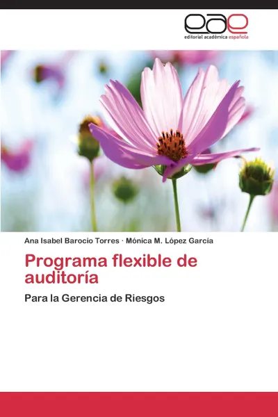 Обложка книги Programa Flexible de Auditoria, Barocio Torres Ana Isabel, Lopez Garcia Monica M.