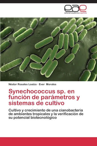 Обложка книги Synechococcus Sp. En Funcion de Parametros y Sistemas de Cultivo, Rosales Loaiza Nestor, Morales Ever