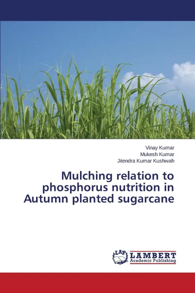 Обложка книги Mulching relation to phosphorus nutrition in Autumn planted sugarcane, Kumar Vinay, Kumar Mukesh, Kushwah Jitendra Kumar