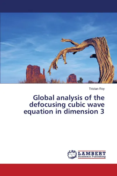 Обложка книги Global Analysis of the Defocusing Cubic Wave Equation in Dimension 3, Roy Tristan