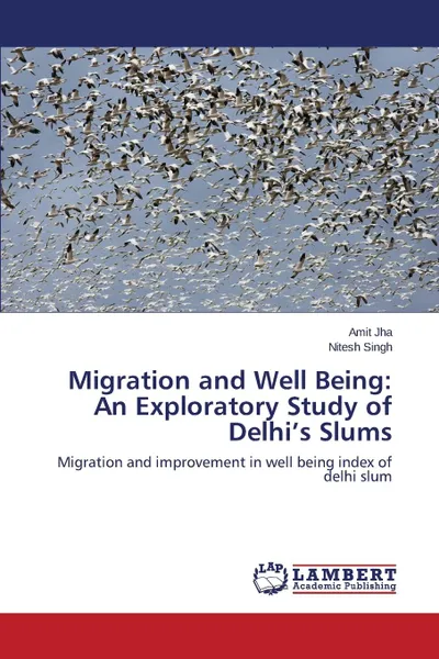 Обложка книги Migration and Well Being. An Exploratory Study of Delhi.s Slums, Jha Amit, Singh Nitesh