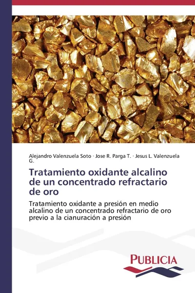 Обложка книги Tratamiento oxidante alcalino de un concentrado refractario de oro, Valenzuela Soto Alejandro, Parga T. José R., Valenzuela G. Jesús L.