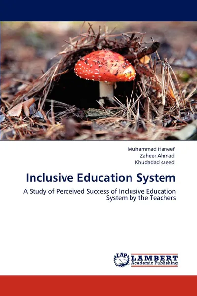 Обложка книги Inclusive Education System, Muhammad Haneef, Zaheer Ahmad, Khudadad Saeed