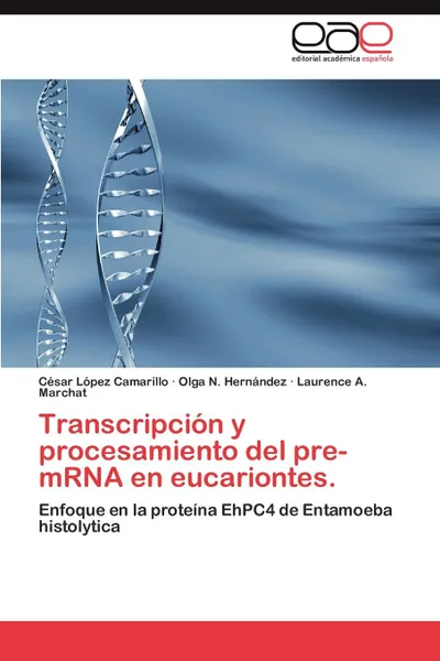 Обложка книги Transcripcion y Procesamiento del Pre-Mrna En Eucariontes., C. Sar L. Pez Camarillo, Olga N. Hern Ndez, Laurence A. Marchat