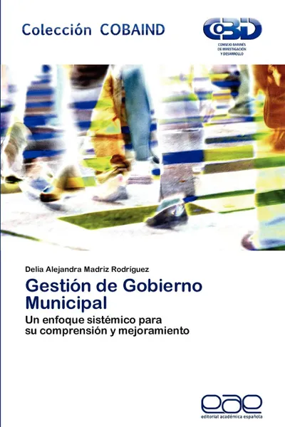 Обложка книги Gestion de Gobierno Municipal, Delia Alejandra Madriz Rodr Guez