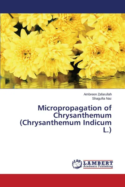 Обложка книги Micropropagation of Chrysanthemum (Chrysanthemum Indicum L.), Zafarullah Ambreen, Naz Shagufta