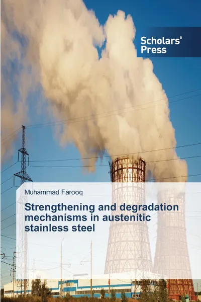 Обложка книги Strengthening and degradation mechanisms in austenitic stainless steel, Farooq Muhammad