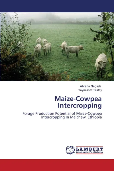 Обложка книги Maize-Cowpea Intercropping, Negash Abraha, Tesfay Yayneshet