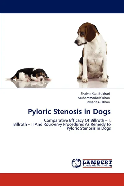 Обложка книги Pyloric Stenosis in Dogs, Shaista Gul Bukhari, Muhammadarif Khan, Jawariaali Khan