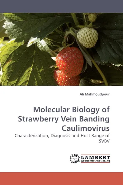 Обложка книги Molecular Biology of Strawberry Vein Banding Caulimovirus, Ali Mahmoudpour