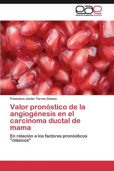 Обложка книги Valor pronostico de la angiogenesis en el carcinoma ductal de mama, Torres Gómez Francisco Javier