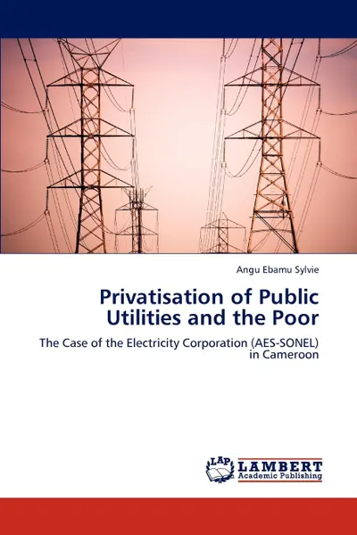 Обложка книги Privatisation of Public Utilities and the Poor, Angu Ebamu Sylvie