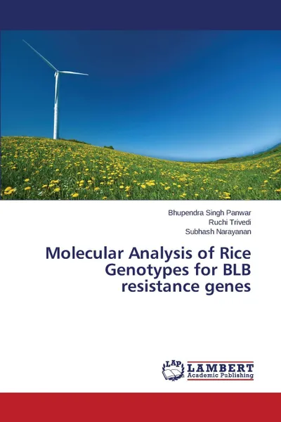 Обложка книги Molecular Analysis of Rice Genotypes for BLB resistance genes, Panwar Bhupendra Singh, Trivedi Ruchi, Narayanan Subhash