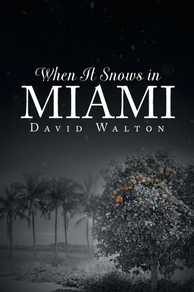 Обложка книги When It Snows In Miami, David Walton