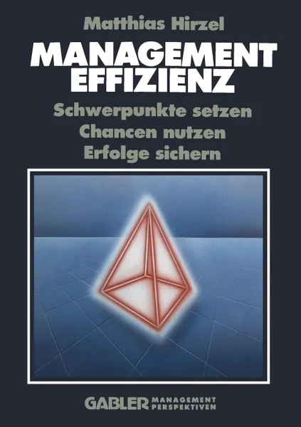 Обложка книги Management Effizienz. Schwerpunkte setzen Chancen nutzen Erfolge sichern, Matthias Hirzel
