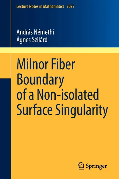 Обложка книги Milnor Fiber Boundary of a Non-isolated Surface Singularity, András Némethi, Ágnes Szilárd