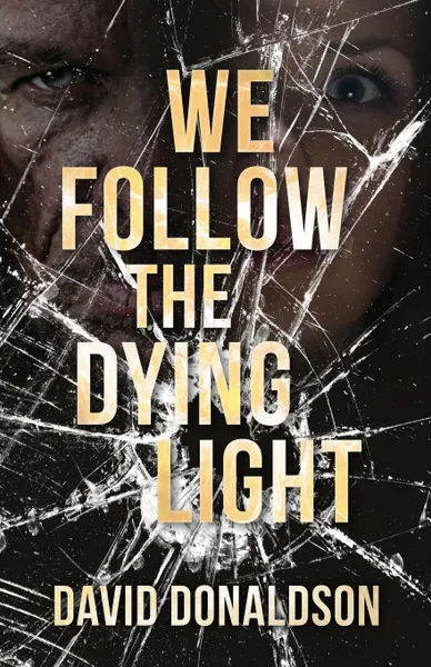 Обложка книги We Follow the Dying Light, David Donaldson