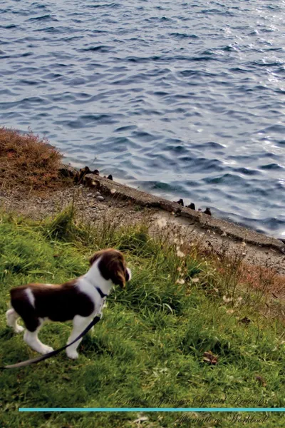 Обложка книги English Springer Spaniel Affirmations Workbook English Springer Spaniel Presents. Positive and Loving Affirmations Workbook. Includes: Mentoring Questions, Guidance, Supporting You., Live Positivity