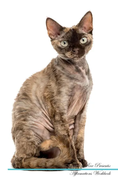 Обложка книги Devon Rex Affirmations Workbook Devon Rex Presents. Positive and Loving Affirmations Workbook. Includes: Mentoring Questions, Guidance, Supporting You., Live Positivity