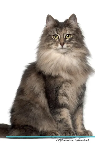 Обложка книги Norwegian Forest Cat Affirmations Workbook Norwegian Forest Cat Presents. Positive and Loving Affirmations Workbook. Includes: Mentoring Questions, Guidance, Supporting You., Live Positivity