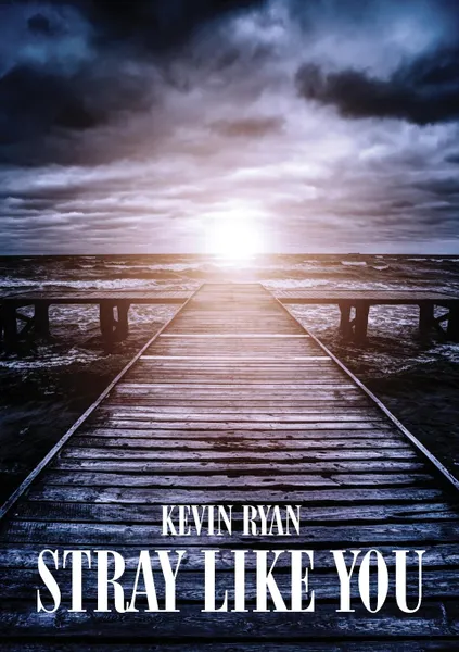 Обложка книги Stray Like You, Kevin Ryan