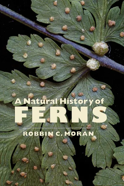 Обложка книги A Natural History of Ferns, Robbin C. Moran