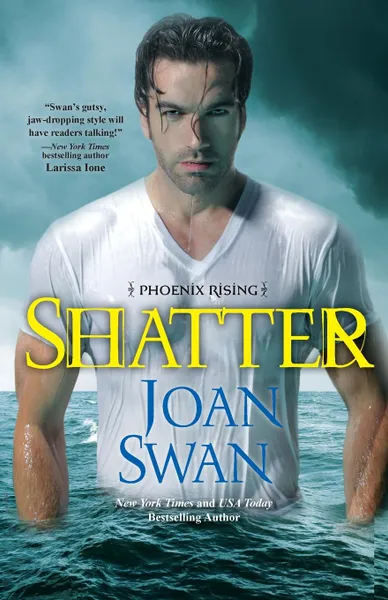 Обложка книги Shatter, Joan Swan