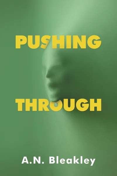 Обложка книги Pushing Through, A.N. Bleakley