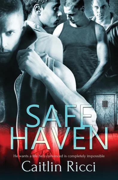 Обложка книги Safe Haven, Caitlin Ricci