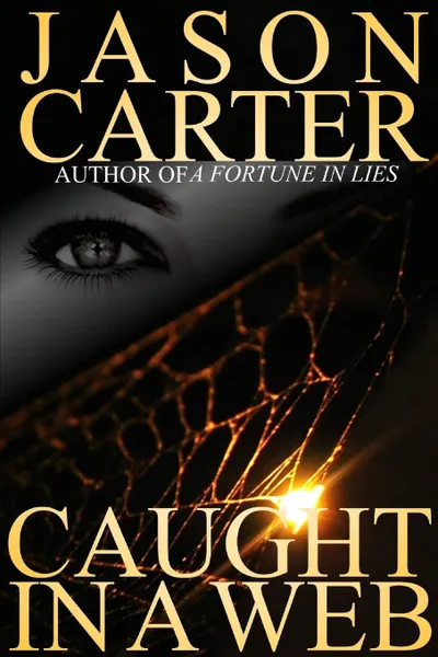 Обложка книги Caught In A Web, Jason Carter