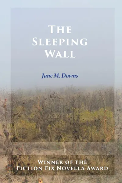 Обложка книги The Sleeping Wall, Jane M. Downs