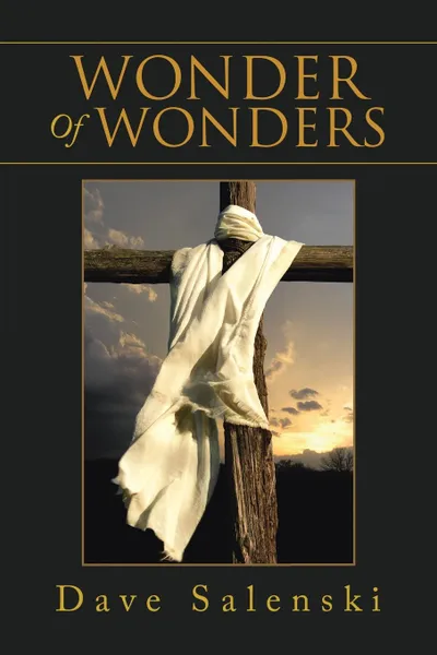 Обложка книги Wonder Of Wonders, Dave Salenski