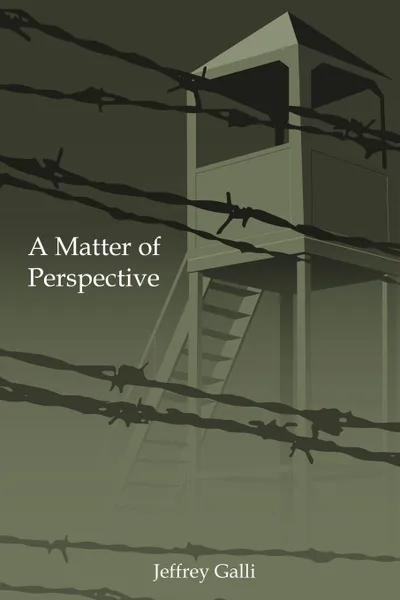 Обложка книги A Matter of Perspective, Jeffrey Galli