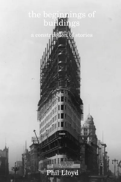 Обложка книги the beginnings of buildings, Phil Lloyd