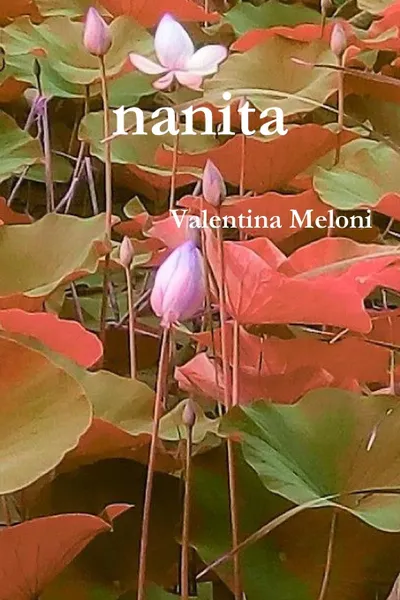 Обложка книги nanita, Valentina Meloni