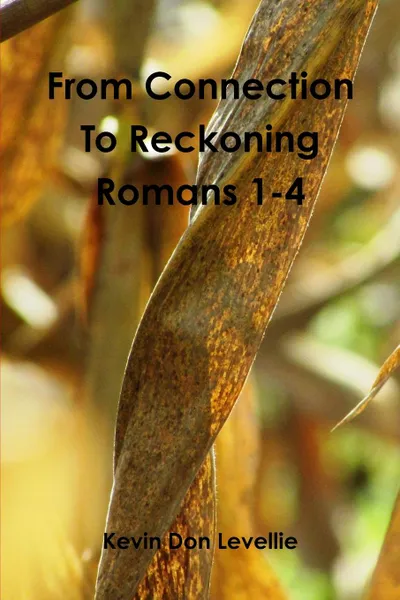 Обложка книги From Connection To Reckoning   Romans 1-4, Kevin Don Levellie