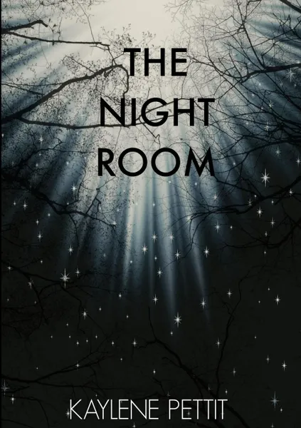 Обложка книги The Night Room, Kaylene Pettit