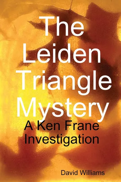 Обложка книги The Leiden Triangle Mystery, David Williams