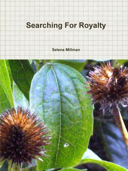 Обложка книги Searching For Royalty, Selena Millman