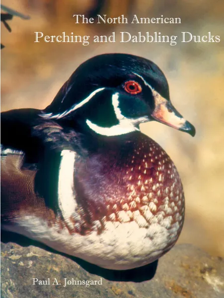 Обложка книги The North American Perching and Dabbling Ducks, Paul Johnsgard