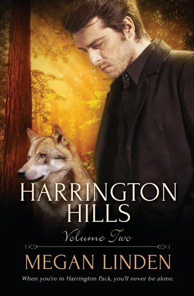 Обложка книги Harrington Hills. Volume 2, Megan Linden