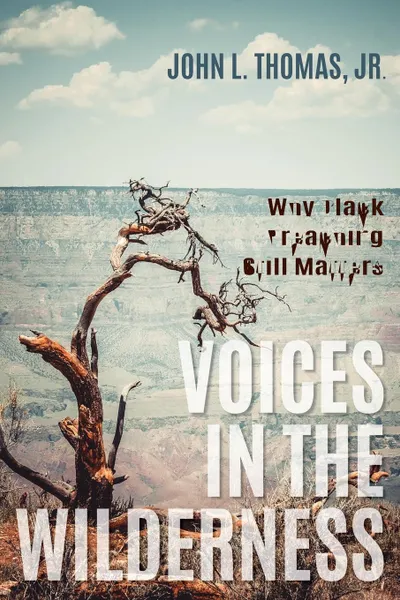 Обложка книги Voices in the Wilderness, John L. Jr. Thomas