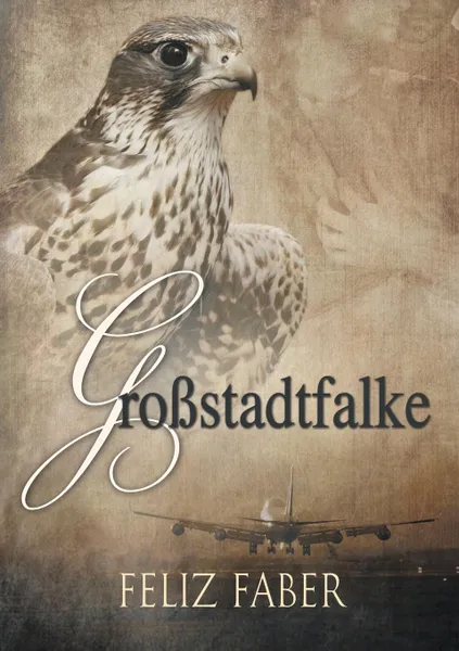 Обложка книги Grossstadtfalke, Feliz Faber, Louise Spiegl