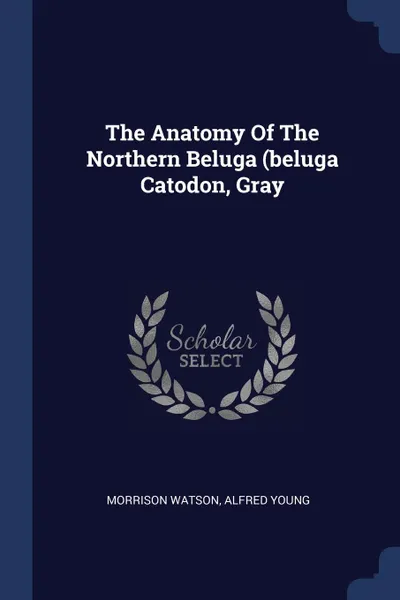 Обложка книги The Anatomy Of The Northern Beluga (beluga Catodon, Gray, Morrison Watson, Alfred Young