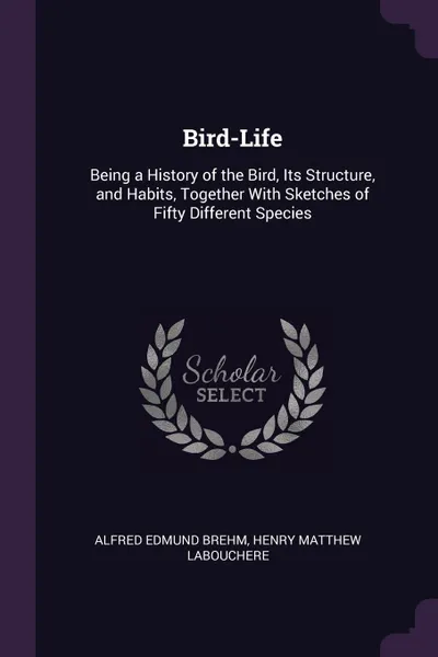 Обложка книги Bird-Life. Being a History of the Bird, Its Structure, and Habits, Together With Sketches of Fifty Different Species, Alfred Edmund Brehm, Henry Matthew Labouchere