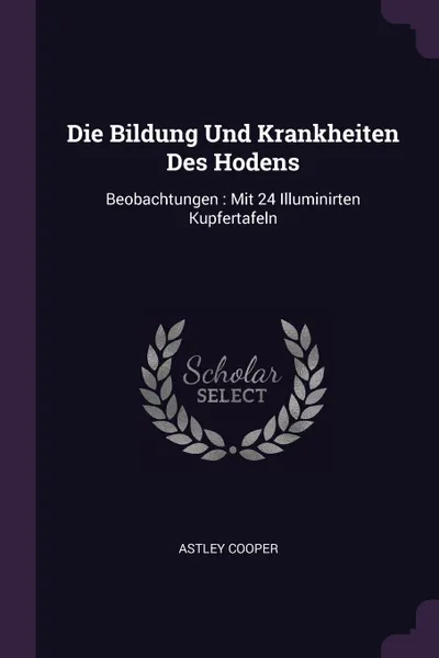 Обложка книги Die Bildung Und Krankheiten Des Hodens. Beobachtungen : Mit 24 Illuminirten Kupfertafeln, Astley Cooper