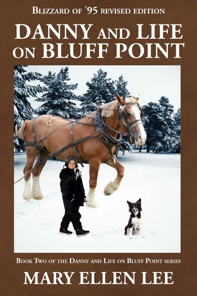 Обложка книги Danny and Life on Bluff Point. Blizzard of .95 Revised Edition, Mary Ellen Lee